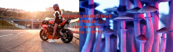 apvp Заволжье