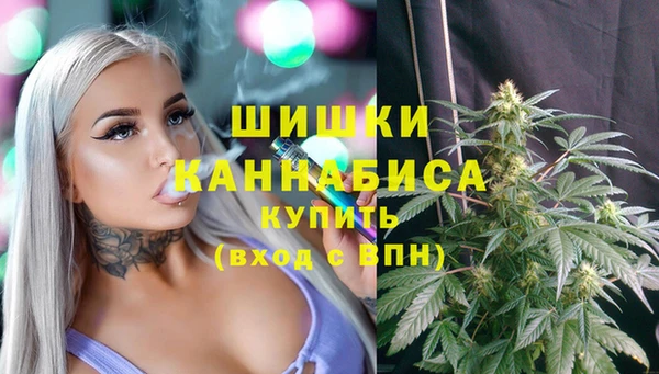 apvp Заволжье